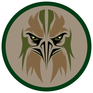 eaglesteam6 300x